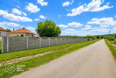 Casa stil brancovenesc, 2 corpuri, localitatea Ususau - 22