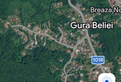 Teren intravilan, 5000 mp, Breaza, Prahova - 3