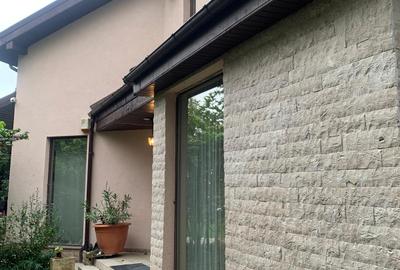 Vanzare Vile Individuale  Pipera Iancu de Nicolaie - 2