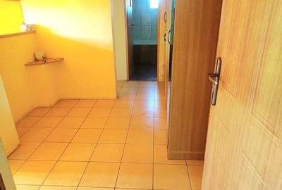 INEL 2 APARTAMENT 2 CAMERE DECOMANDATE 56 MP. RENOVAT PRET 85.000 EURO - 7