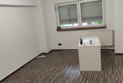 Banu Manta, Primaria Sectorului 1 - 1