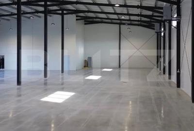 Spațiu industrial, de 650.00 mp, în Exterior Est