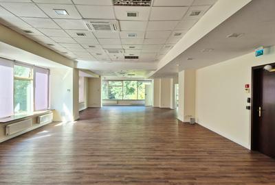 Birou, 270 mp în Vatra Luminoasă