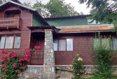 Casa gospodarului, înconjurată de natură, Comarnic - 18