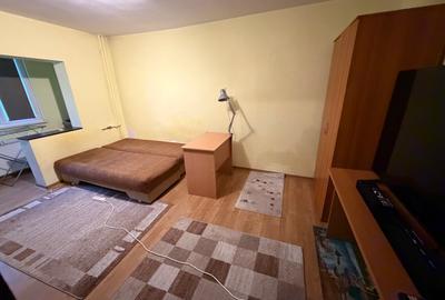 Apartament cu o cameră Buziașului - 2