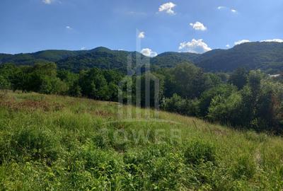 Teren în Fântânele – 3.673 mp, pârâu si cadru natural  deosebit - 11