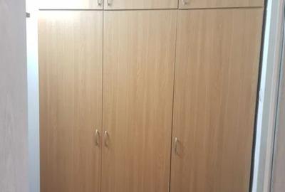 Apartament cu 1 camera in Tatarasi-Oancea-Spital Sf.Maria - 4