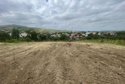 Iasi - Tomesti 3600mp intravilan intre case zona linistita + utilități - 4
