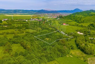 Teren 1ha Valea Glăjeriei - Rasnov | Comision 0% - 4