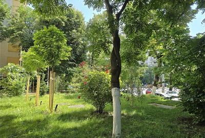 Apartament et.6/10 zona Colentina- Teiul Doamnei - 10