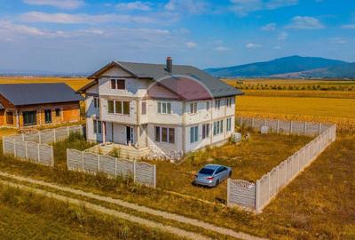 Vilă cu 14 camere la gri în Carpinis | COMISION 0% | - 1