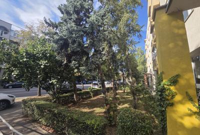Apartament pe Bdul. Titulescu, confort sporit - 9