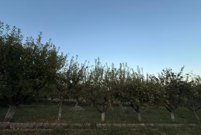 O casă cu suflet, pe un teren cât o poveste întreagă-Deva, zona Vulcan - 5