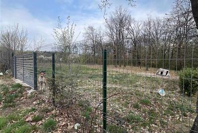 RECO Teren intravilan, loc de casa sau investitie  Saldabagiu de Munte - 2