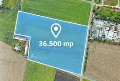 Teren 36.500 MP de vanzare Sannicolau Mic, Arad ID:RH-45694-property - 2