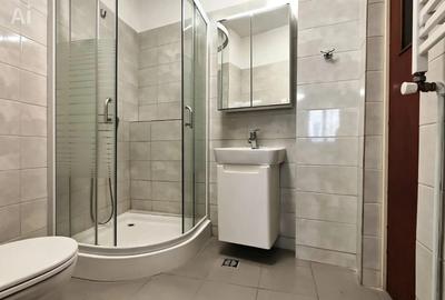 Vila de inchiriat-Zona Alba Iulia - 7