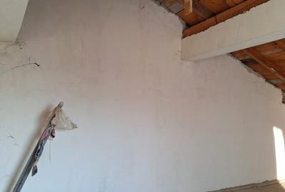 Resedinta deosebita,constr 2012,parc Carol 10min,7 camere,7 bai,2 locuri parcare - 19