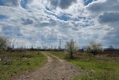 Teren Construcții intravilan de 7800 mp, în Sud-Est