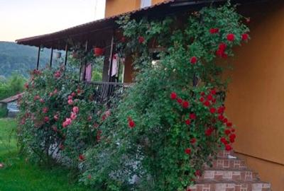 Casă individuală cu 5 camere în Coșești