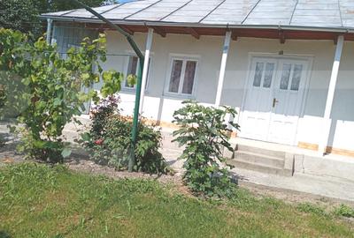 Casă individuală cu 2 camere în Broscăuți