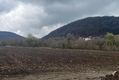 6700 MP TEREN ALBESTI- SIGHISOARA - 1