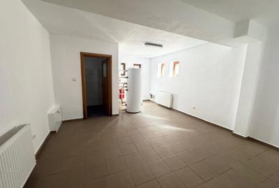 Inchiriere vila spatioasa, ideala pentru activitati profesionale – Lacul Tei - 28
