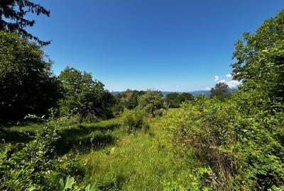 Teren doua loturi 3100 mp. - 2800 mp. Dăesti - Valcea - 13