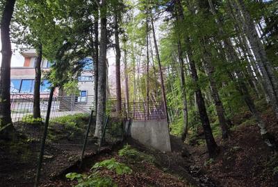 Teren intravilan de 720 mp, în Central
