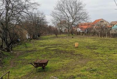 Teren 1.447 mp cu casa 5 camere - Ovidiu - 210.000 euro negociabil (Cod E1) - 7