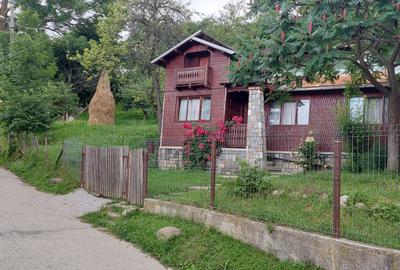Casa gospodarului, înconjurată de natură, Comarnic - 3