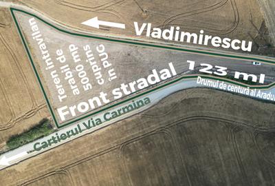 Teren intravilan de 5.000 mp în PUG Vladimirescu - 2