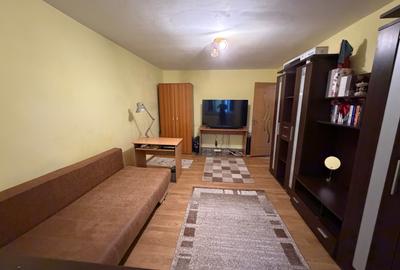 Apartament cu o cameră Buziașului - 4