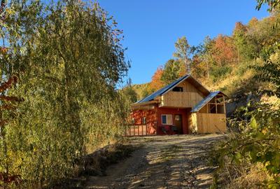Cabană de vânzare, Muntele Rece, teren 4000mp - 1