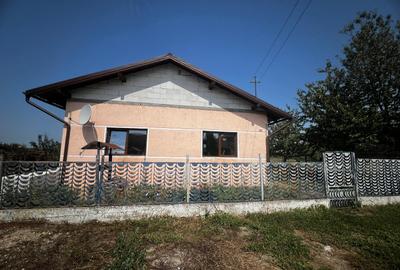 Casa in Ianculesti - 8
