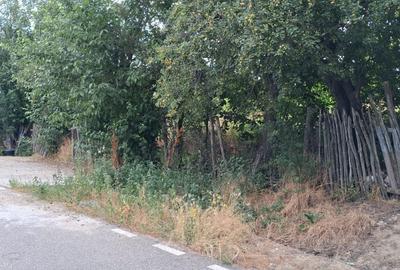 Teren Intravilan  in Tismana (Comuna Devesel), la 200 ml de Dunare - 2