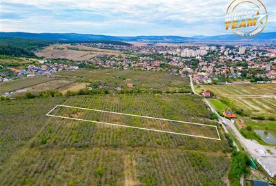 Teren extravilan, 6.510mp, Simeria, Sfantu Gheorghe - 2