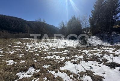 Teren extravilan 4600 mp cu acces la rau Satul de Vacanta Dejani - 2