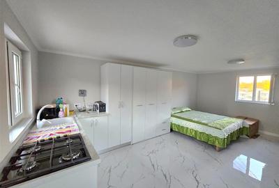 VILA DE LUX | 7 CAMERE | ONCEA | BIHOR - 41