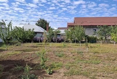 Casa Panciu, 870 mp teren curti constructii - 4