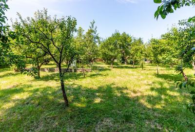 Casă/Vila tip conac, cu anexe si livada de vânzare Valenii de Munte - 23