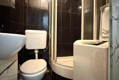 Apartament cu o camera, 17 mp utili, etaj 4, mobilat-Buziasului - 6