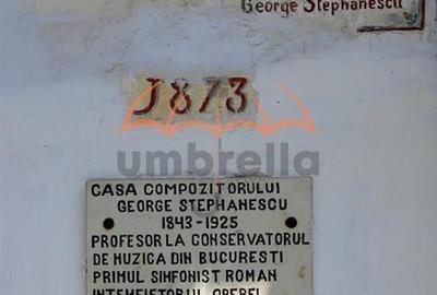 Conac - Casa Memoriala George Stephanescu - 4