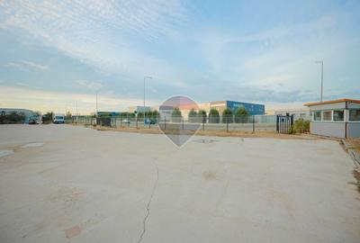 Hală în parc industrial Borș 1, teren 2.903 mp, de vânzare - 10