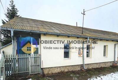 Casă cu 5 camere în Central