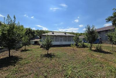 Teren 4800MP - Tomesti - La Soseaua Principala - 6