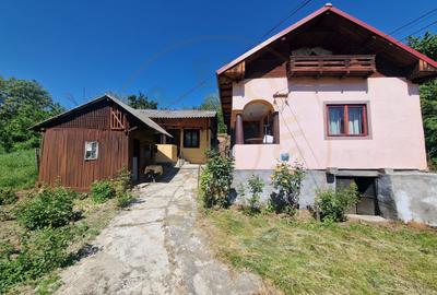 Căsuță autentică românească între două dealuri–colț de liniște  în Botesti, Arge - 2