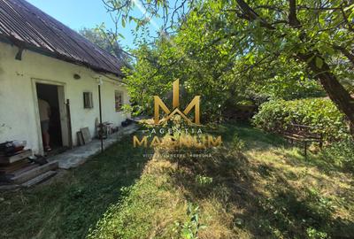 Casă P+M de vânzare | 450 mp teren | Centru Baia Sprie - 12