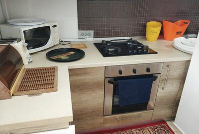 Delfinariu - Apartament modern cu centrala cu gaz - 11