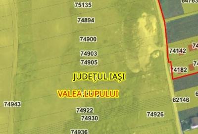 Teren intravilan de 2990 mp, în Valea Lupului