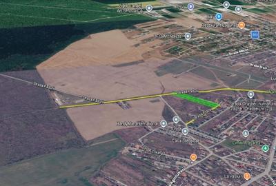 Teren 9.586 mp Brănești-Pasărea | Lotizare 16 loturi - 2